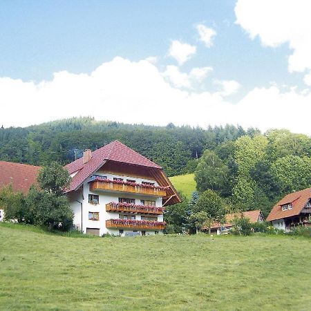 Апартаменты Geigerbauernhof Muehlenbach Экстерьер фото